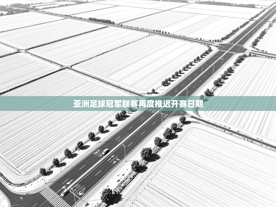 亚洲足球冠军联赛再度推迟开赛日期  第2张