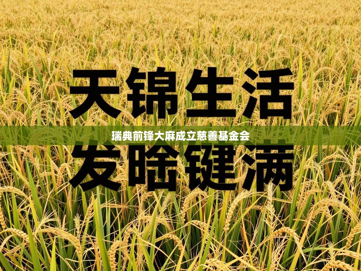 瑞典前锋大麻成立慈善基金会  第2张